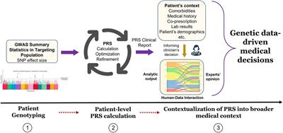 Polygenic risk scores in pharmacogenomics: opportunities and challenges—a mini review